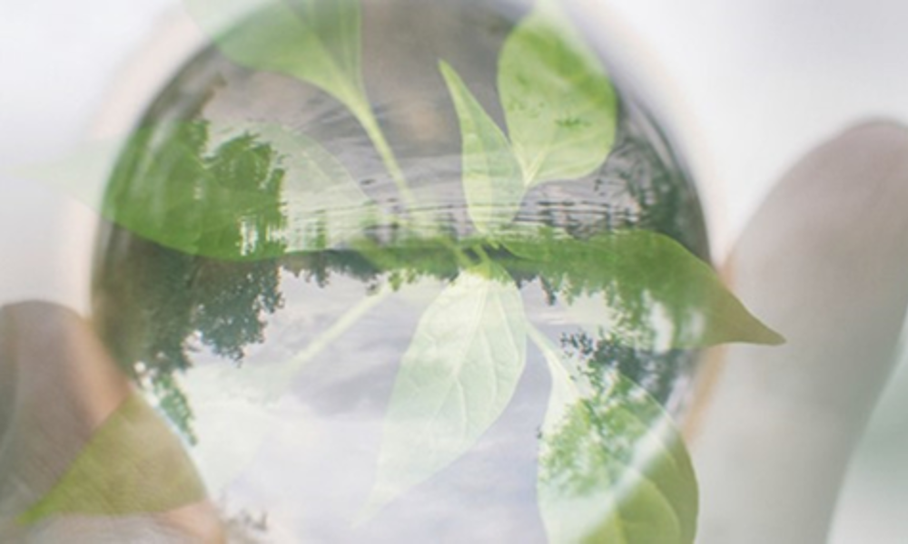 Niedax Because We Care About Tomorrow