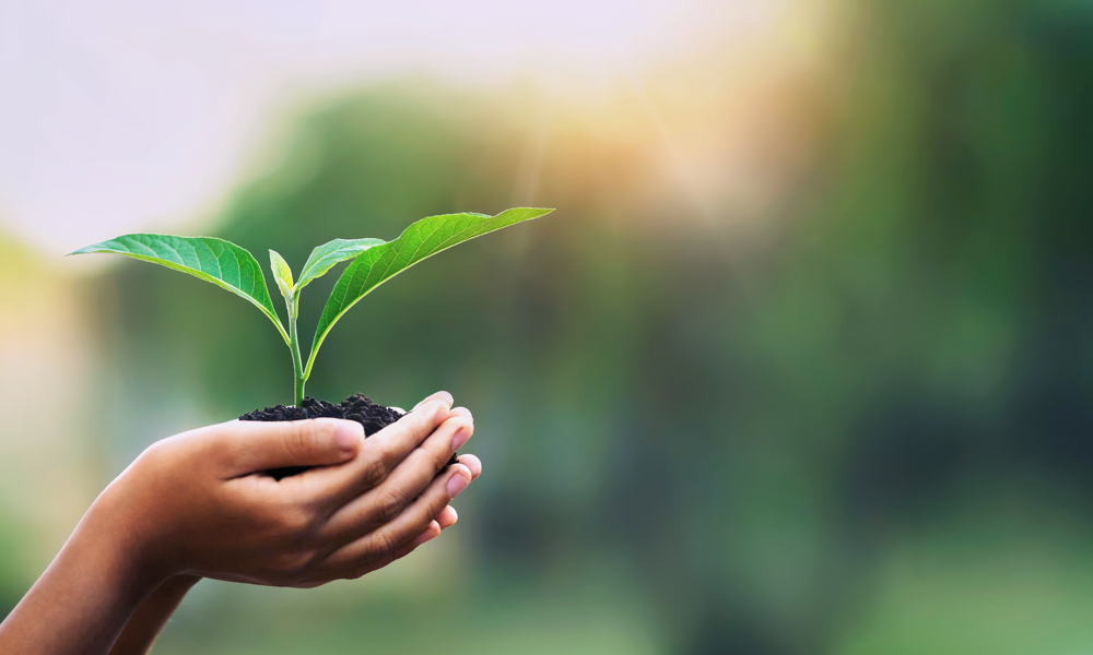 Gettyimages 1208480229 CG